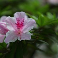 林深45