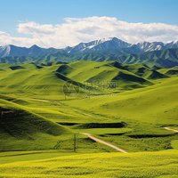 任梓涵