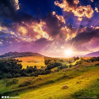 陶文