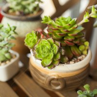 陆芳