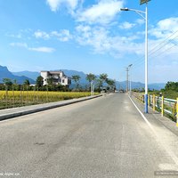 白白8