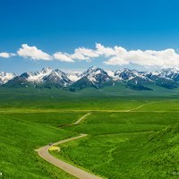 鹿鸣在路上
