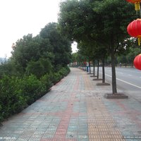 大细雨儿