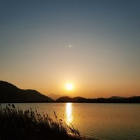 杨雨
