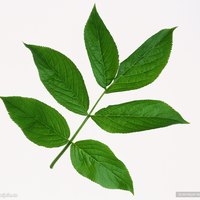 阿山间有点困