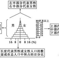 段悦