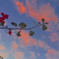 栗子-48