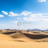 大丸子
