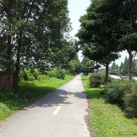 阿有光在路上