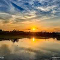大听风鸭