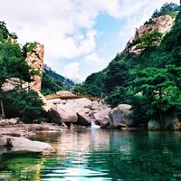 陶晨