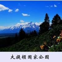 李刚