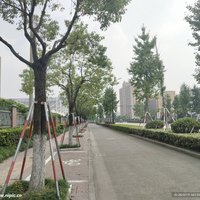 谭涛