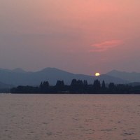 木木-11