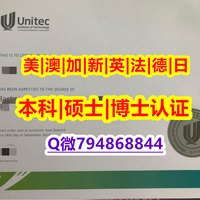 陶泽