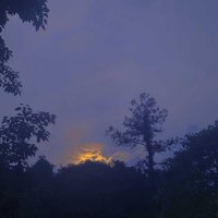 邱伟