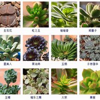 小半山儿