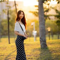 老半糖要不要