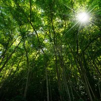 阿晨露的日常
