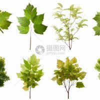 小丸子在发呆