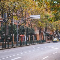 小半夏鸭