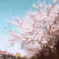 孟洋