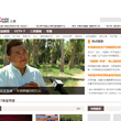 央视网三农频道