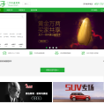 瓜子二手车直卖网